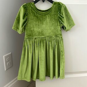 Green velvet Pink Chicken dress